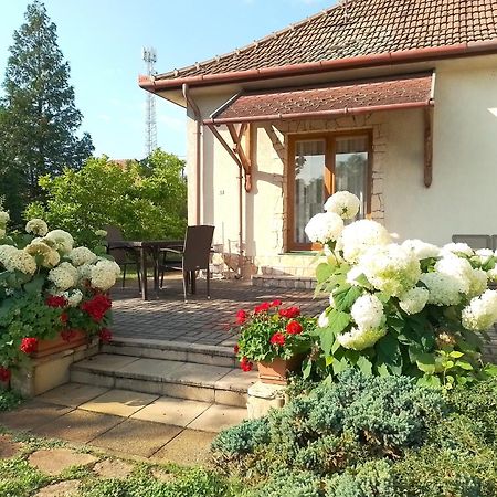 Apartmán Platan Vendeghaz Csemo Exteriér fotografie