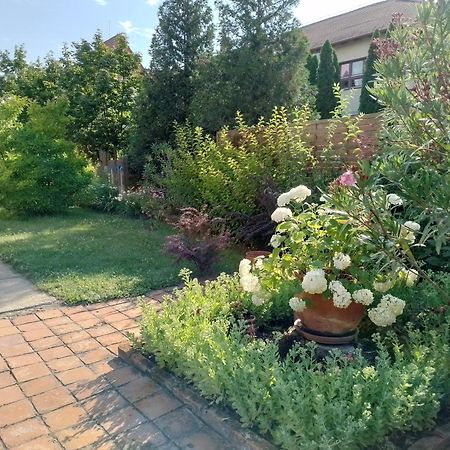 Apartmán Platan Vendeghaz Csemo Exteriér fotografie